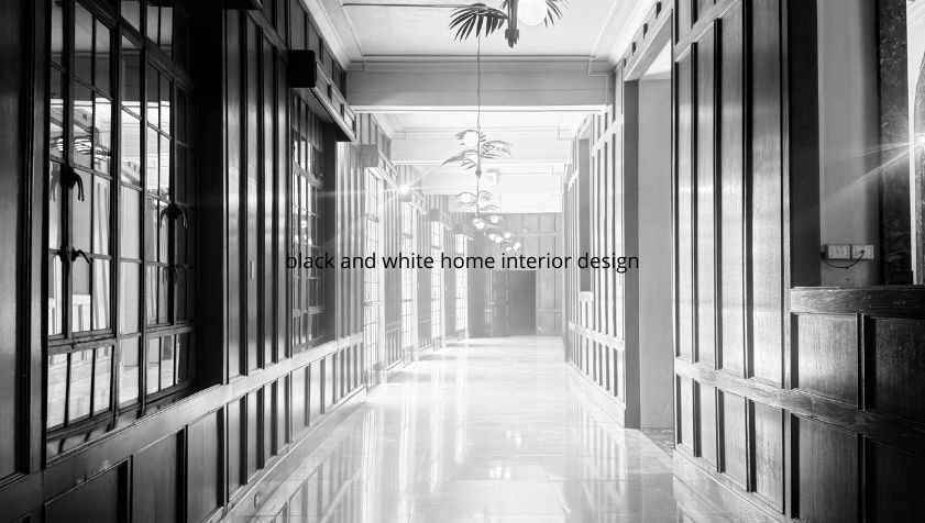 Black and White Home Interior Design: Complete Guide to Modern, Elegant, and Timeless Styling
